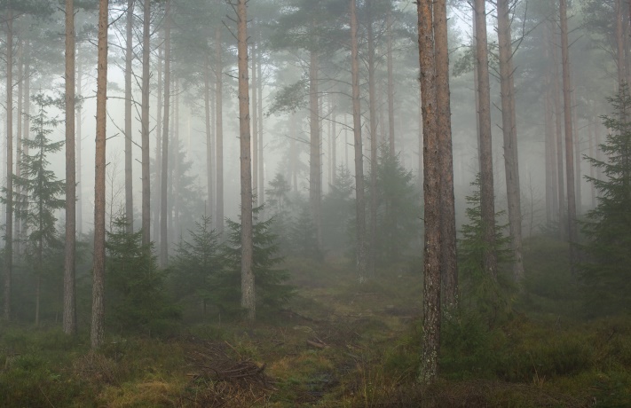 Undernaturligt – om att ha respekt för de underjordiska