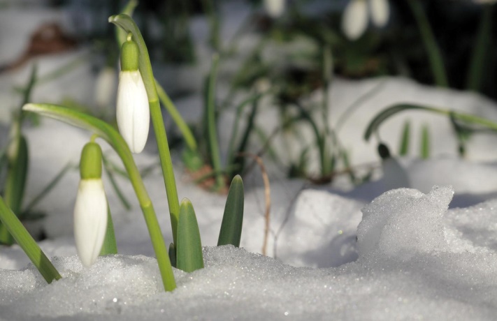 Vinter med Kulturkollo #löfte