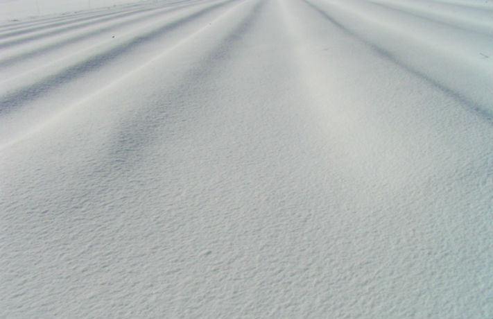 Vinter med Kulturkollo Skoj med #snö
