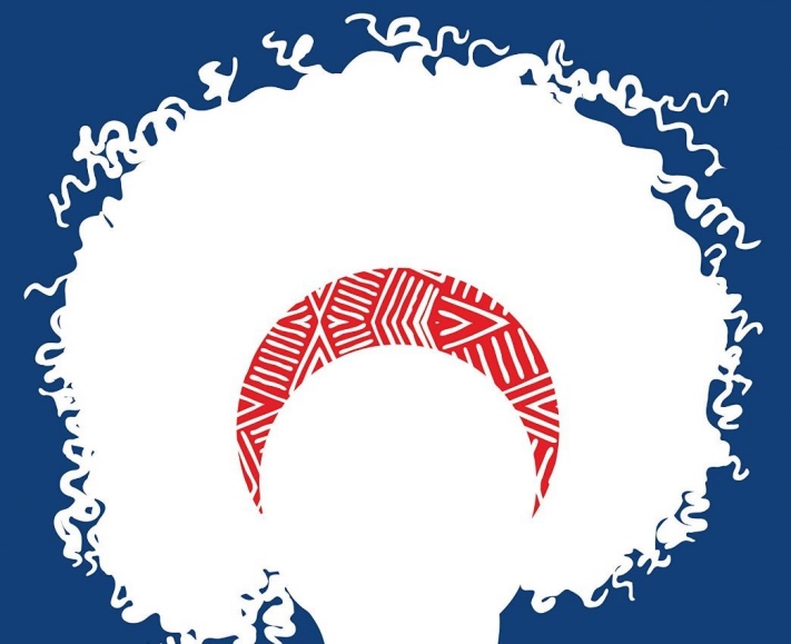 Americanah – en roman om hår?