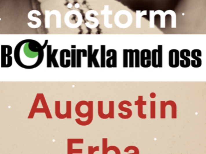 Kulturkollo läser Snöstorm av Augustin Erba