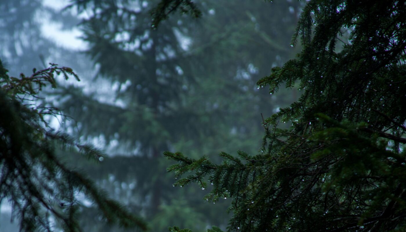 Photo by Jonathan Klok on Unsplash