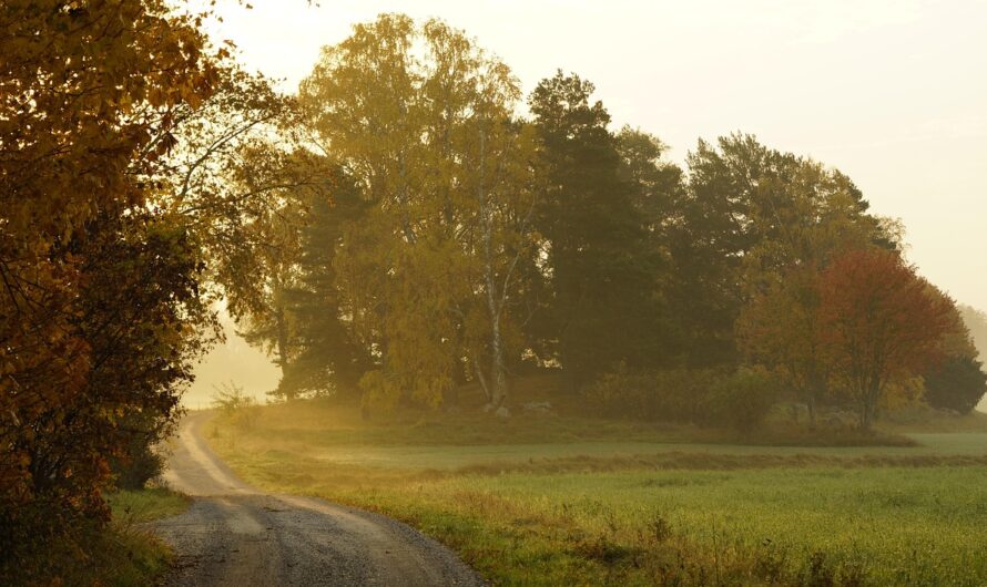 Perspektiv på Sverige