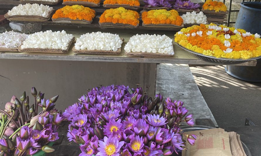 Till Sri Lanka – läs och res!